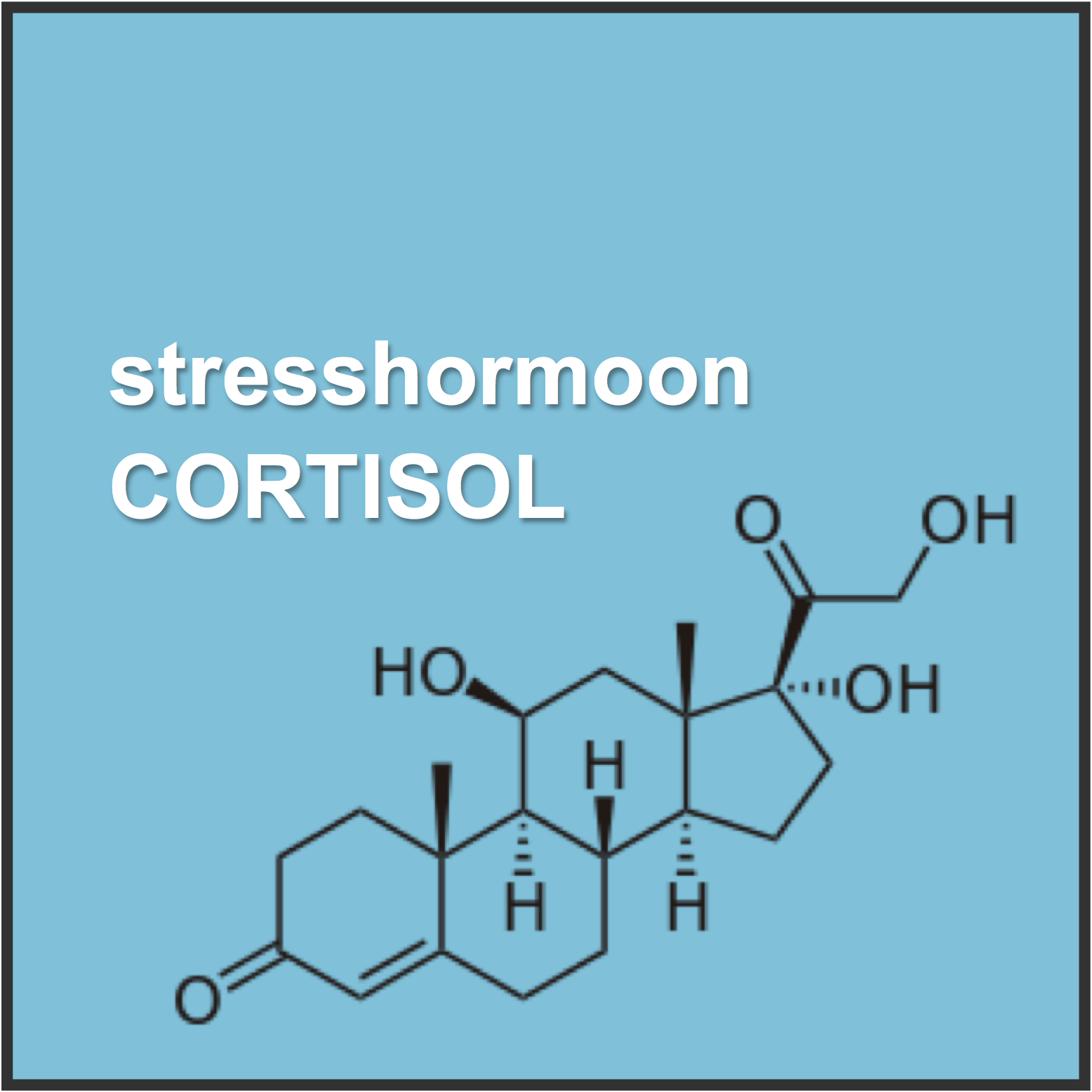 cortisol; het antwoord op mijn klachten - creativehealth.nl